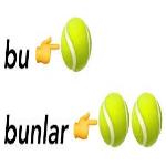 ضمایر اشاره زبان ترکی استانبولی